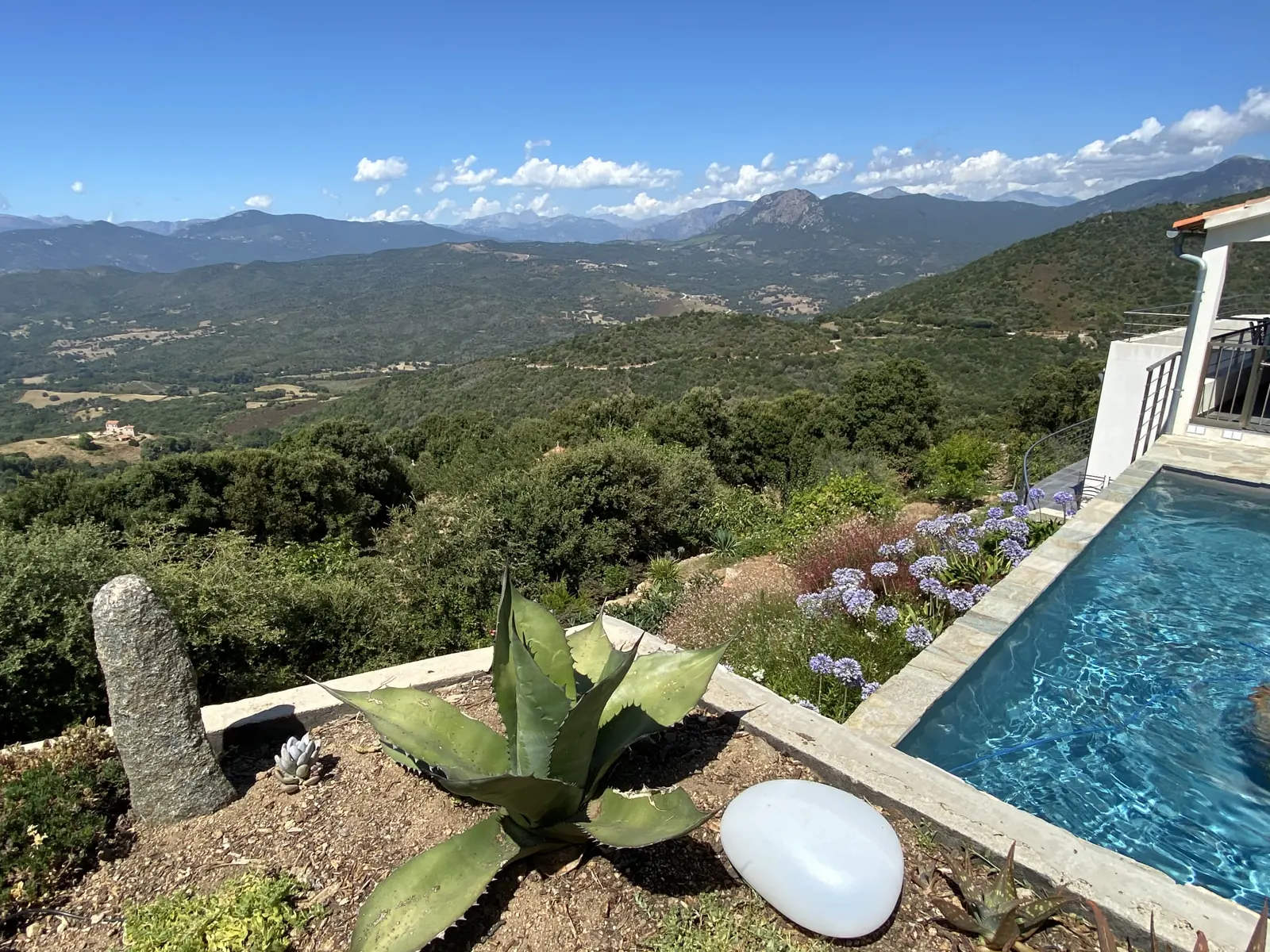 Jardin paysager au bord de la piscine